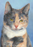 Personalized Oil Painting From Photos, handcraft art on Canvas-Show Case SPG100258-12