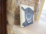 Personalized Oil Painting From Photos, handcraft art on Canvas-Show Case OTS102279-20
