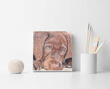 F&S Gift Store Dog painting from photo, Custom portrait, Oil painting on canvas, Custom pet portrait, Unique gift, Personalized painting