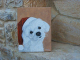 F&S Gift Store Pet painting, Custom cat portrait, Custom dog portrait, Christmas pets, Christmas decoration, Memorial gift, Custom gift, Custom portrait