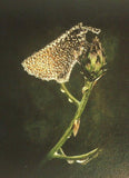 Personalized Oil Painting From Photos, handcraft art on Canvas-Show Case GOO101979-48