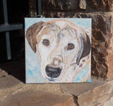 Personalized Oil Painting From Photos, handcraft art on Canvas-Show Case EIJ102289-48