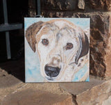 F&S Gift Store Pet Portrait, Custom painting, Boxer painting, Cat portrait, Custom portrait, Dog portrait, Personalized gift, Unique gift