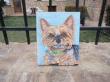 F&S Gift Store Custom Dog Portrait, Puppy painting, Dog wall art, Unique gift, Yorkshire terrier, Pet painting, Pet loss gift, Personalized gift