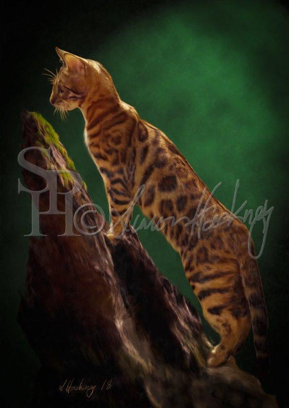 Personalized Oil Painting From Photos, handcraft art on Canvas-Show Case BPM101341-20