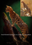Personalized Oil Painting From Photos, handcraft art on Canvas-Show Case BPM101341-20