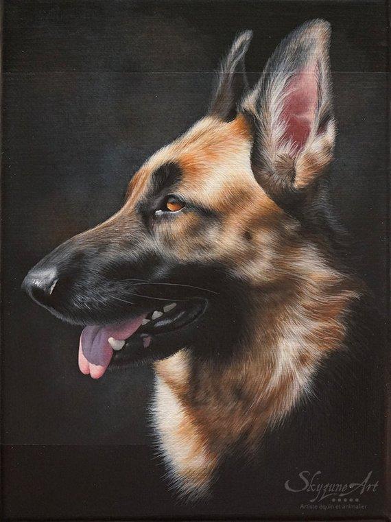 Personalized Oil Painting From Photos, handcraft art on Canvas-Show Case KGJ102142-12