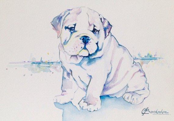 F&S Gift Store Custom wotercolor pet portrait, original watercolor painting, custom art, commission