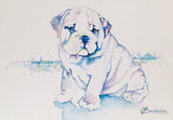 F&S Gift Store Custom wotercolor pet portrait, original watercolor painting, custom art, commission