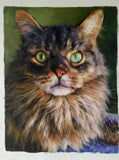 F&S Gift Store Hand Painted Custom Cat Oil Painting - Paint From Digital Photo , Commission Pet Art