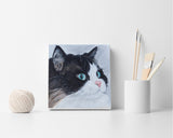 F&S Gift Store Pet portrait Cat art Custom portrait Custom pet portrait Custom pet painting Custom animal painting Custom dog portrait Unique gifts