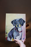 F&S Gift Store Oil Paint Custom Pet Portrait