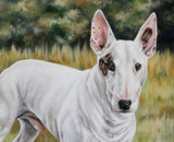 Personalized Oil Painting From Photos, handcraft art on Canvas-Show Case GDAN100211-12