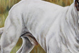 Personalized Oil Painting From Photos, handcraft art on Canvas-Show Case GDAN100211-12