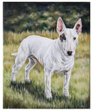 Personalized Oil Painting From Photos, handcraft art on Canvas-Show Case GDAN100211-12