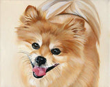 F&S Gift Store Original Custom Pet Portrait, 8x 10, Pet Painting, Dog Painting in Oil, Dog Portrait, Animal Art, Custom Painting from Photo