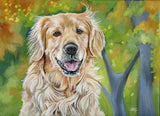 Personalized Oil Painting From Photos, handcraft art on Canvas-Show Case PNM102111-72