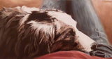 F&S Gift Store 16x20 inch Custom Oil Painting (Portrait or Pet Portrait)