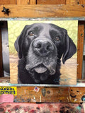 F&S Gift Store 12x12" Custom Pet Portrait // Oil Painting // Pet Lover Gift // Pet Memorial Painting // Personalized Pet Artwork // Custom Pet Artwork