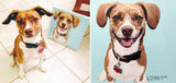 Personalized Oil Painting From Photos, handcraft art on Canvas-Show Case PCJ100261-20