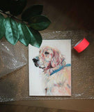 F&S Gift Store custom pet portrait