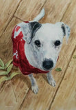 Personalized Oil Painting From Photos, handcraft art on Canvas-Show Case ALO101619-36