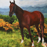 F&S Gift Store Custom Horse Pet Portrait From Your Photos