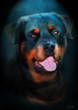 Personalized Oil Painting From Photos, handcraft art on Canvas-Show Case BPM101341-20