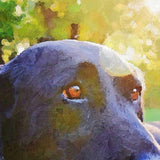 F&S Gift Store Original Custom Oil Painting Dog Portrait Peronalized Pet Cat Painting Sketch Illustration from photo Digital Oil Painting