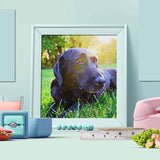 Personalized Oil Painting From Photos, handcraft art on Canvas-Show Case TLK102109-24