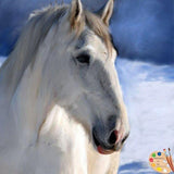 F&S Gift Store Custom Horse Pet Portrait From Your Photos