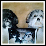 Personalized Oil Painting From Photos, handcraft art on Canvas-Show Case KDG101255-36