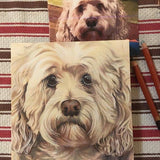 F&S Gift Store spaniel portrait painting custom drawing