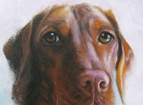Personalized Oil Painting From Photos, handcraft art on Canvas-Show Case GFC102574-12