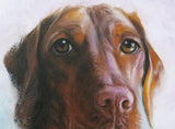 F&S Gift Store Vizsla, Viszla, Visla, Vizla, Original oil painting for sale, pet portrait, custom pet painting, custom dog drawing, dog art, 11x14