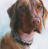Personalized Oil Painting From Photos, handcraft art on Canvas-Show Case GFC102574-12