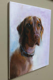F&S Gift Store Vizsla, Viszla, Visla, Vizla, Original oil painting for sale, pet portrait, custom pet painting, custom dog drawing, dog art, 11x14