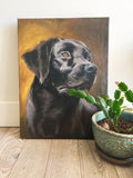 Personalized Oil Painting From Photos, handcraft art on Canvas-Show Case JSF101141-30