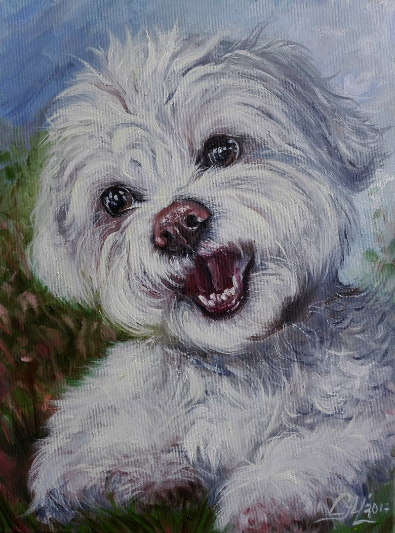 Personalized Oil Painting From Photos, handcraft art on Canvas-Show Case DFO100644-24