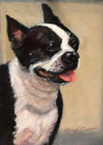 F&S Gift Store Custom Pet Portrait in Oil or Pastel