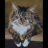 Personalized Oil Painting From Photos, handcraft art on Canvas-Show Case ORO100554-48
