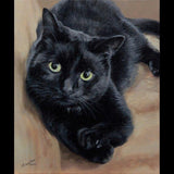 F&S Gift Store Custom cat portrait, Pet portrait, Cat painting - oil painting on canvas. 50% DEPOSIT. Handmade Custom pet portrait.