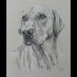 Personalized Oil Painting From Photos, handcraft art on Canvas-Show Case GLI100710-12