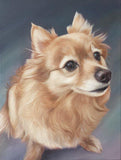 F&S Gift Store Custom Pet Portrait - Pet Painting - Oil painting - Perfect Gift - DOG PAINTING