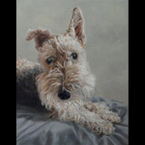 Personalized Oil Painting From Photos, handcraft art on Canvas-Show Case SBA100719-20