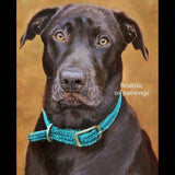 F&S Gift Store Custom Dog portraits, Pet portrait, Dog Painting, Dog Art - MULTIPLE dogs & landscape - oil painting 36x24 inches, from your photos