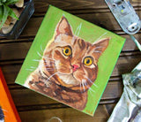 F&S Gift Store Custom Oil Painting, Custom Oil Cat Portrait, Custom Pet Portrait Painting, Custom Pet Art, Custom Pet Painting on Canvas, Oil 6x6, Cat