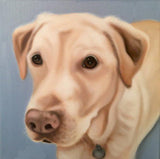 Personalized Oil Painting From Photos, handcraft art on Canvas-Show Case ANO101247-36