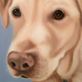 Personalized Oil Painting From Photos, handcraft art on Canvas-Show Case ANO101247-36