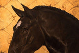 F&S Gift Store Custom OIL on GOLD Pet horse portrait Luxurious High Quality Realistic painting from your photographs Wall Art gift for animal lover.